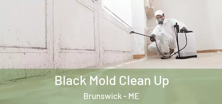 Black Mold Clean Up Brunswick - ME