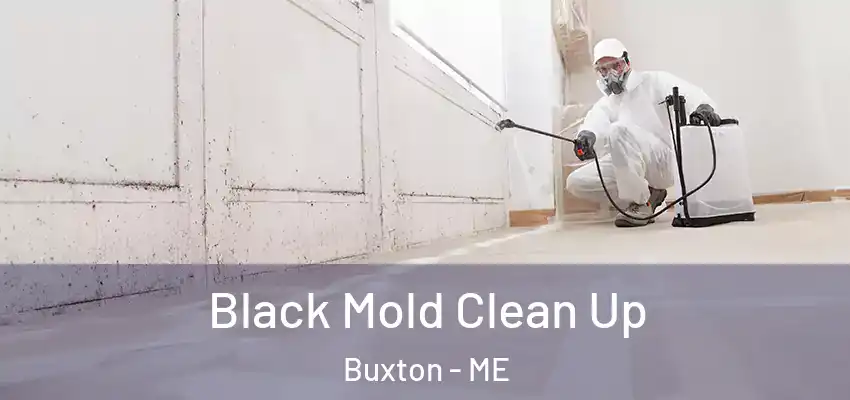  Black Mold Clean Up Buxton - ME