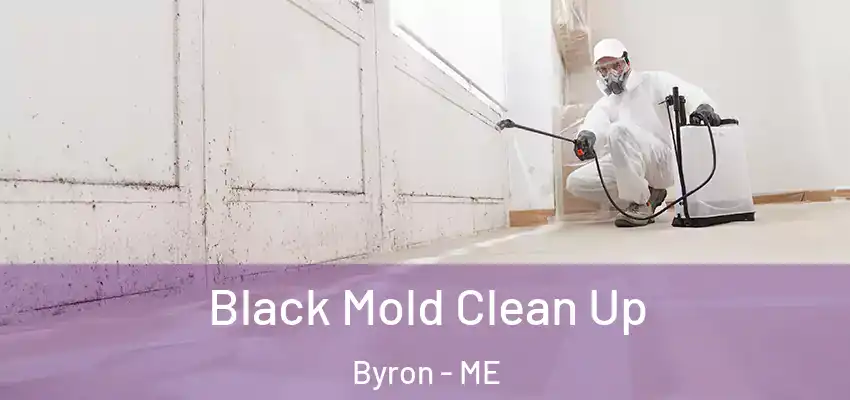  Black Mold Clean Up Byron - ME