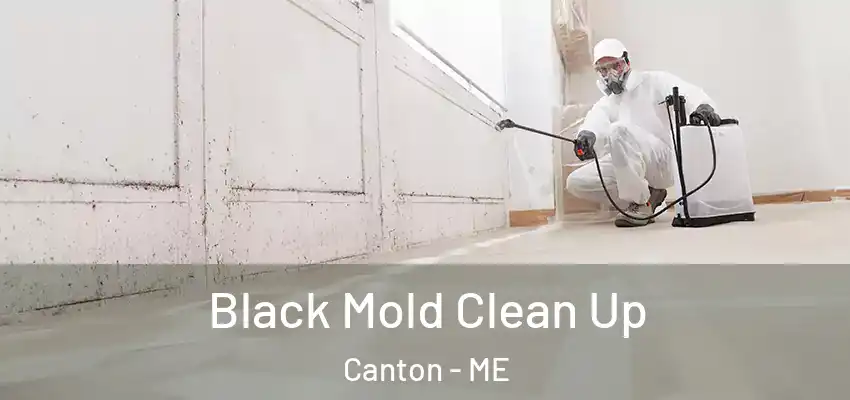 Black Mold Clean Up Canton - ME