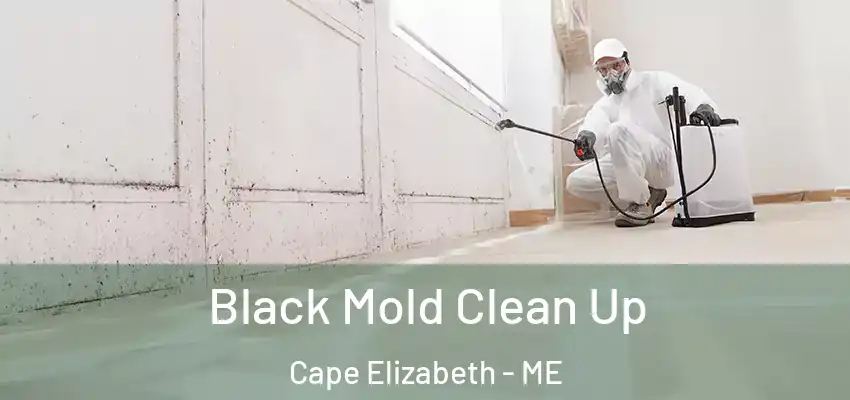  Black Mold Clean Up Cape Elizabeth - ME