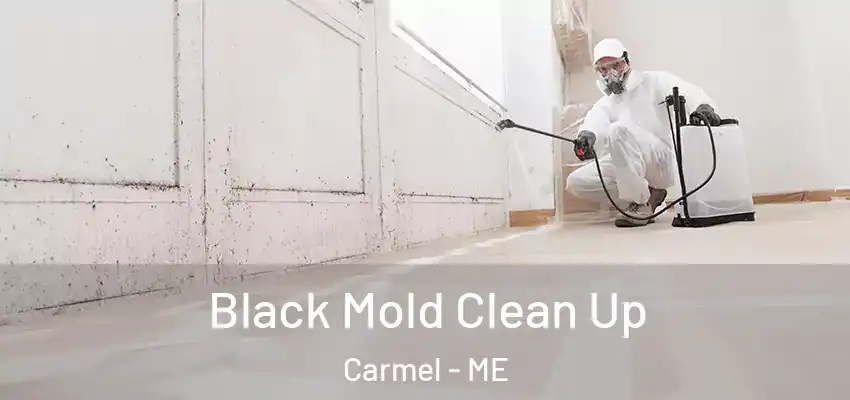  Black Mold Clean Up Carmel - ME