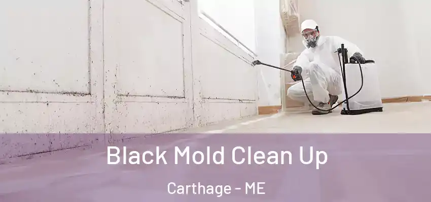 Black Mold Clean Up Carthage - ME