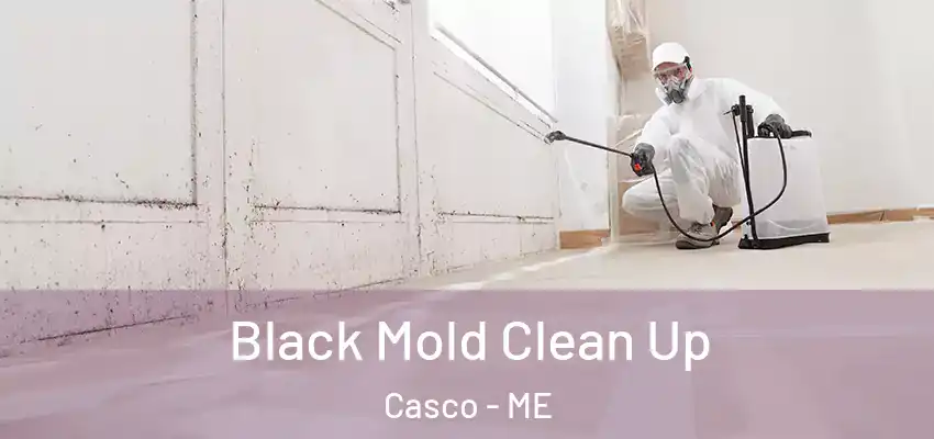 Black Mold Clean Up Casco - ME