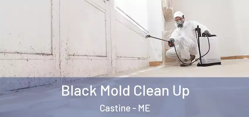 Black Mold Clean Up Castine - ME