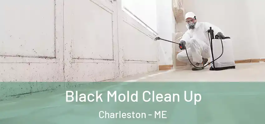 Black Mold Clean Up Charleston - ME