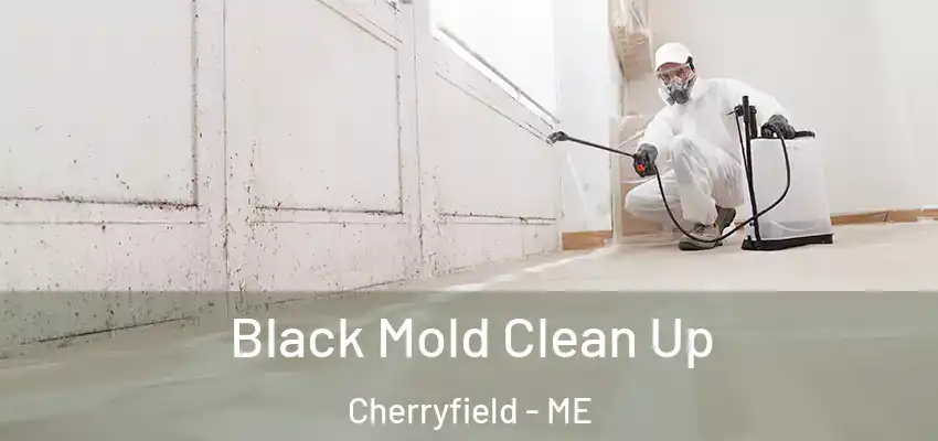 Black Mold Clean Up Cherryfield - ME