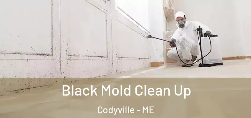 Black Mold Clean Up Codyville - ME