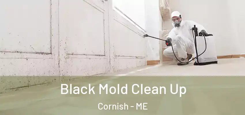 Black Mold Clean Up Cornish - ME