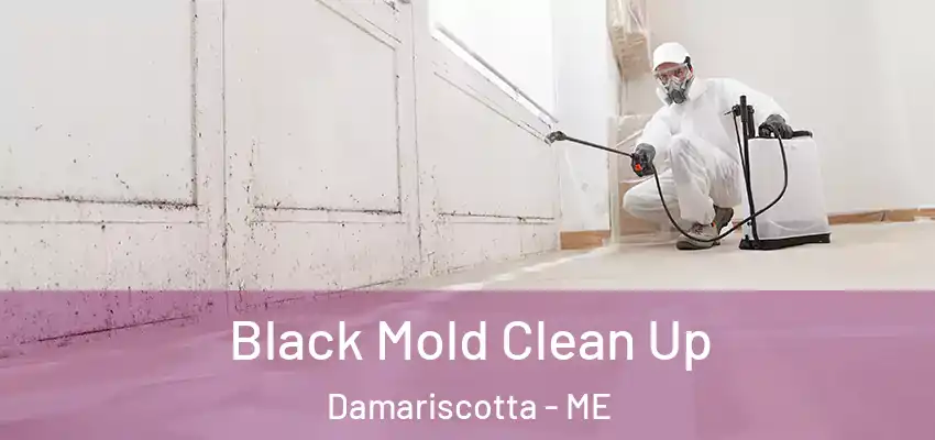  Black Mold Clean Up Damariscotta - ME