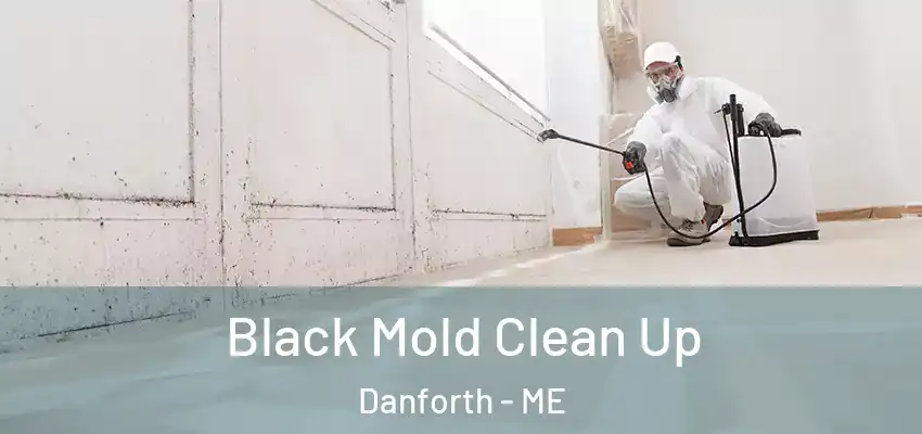  Black Mold Clean Up Danforth - ME