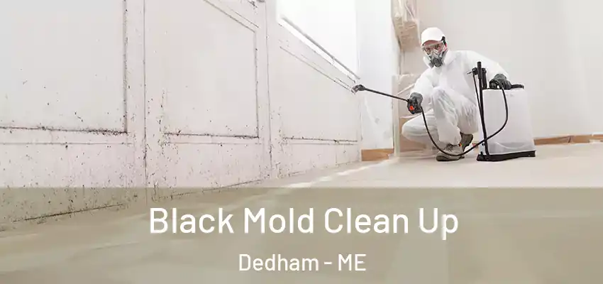 Black Mold Clean Up Dedham - ME