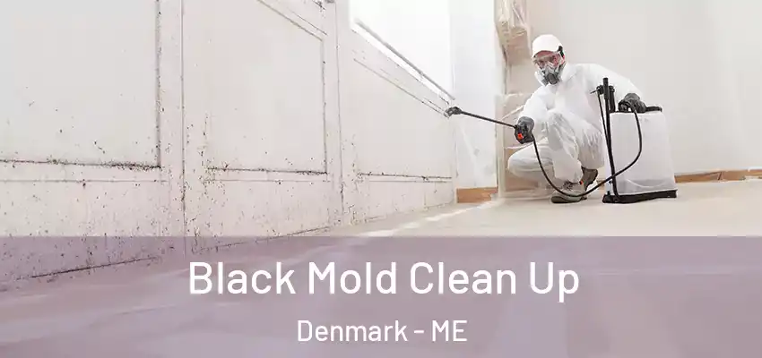 Black Mold Clean Up Denmark - ME