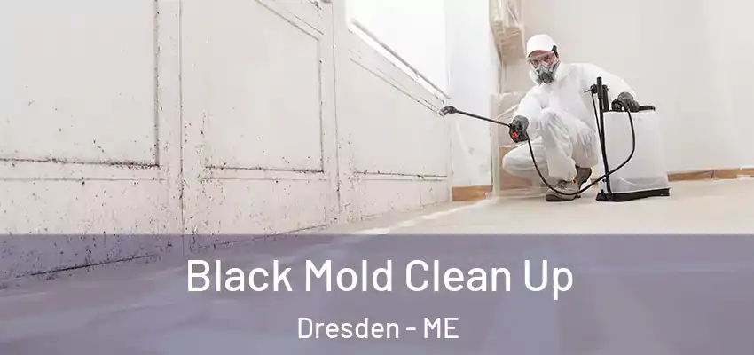 Black Mold Clean Up Dresden - ME