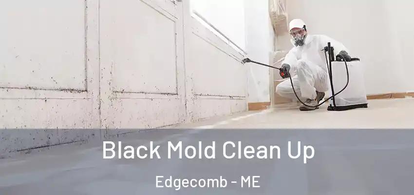  Black Mold Clean Up Edgecomb - ME