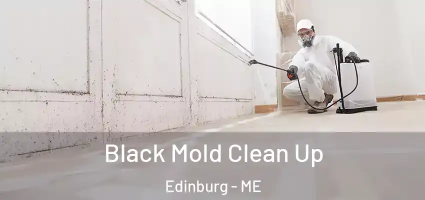  Black Mold Clean Up Edinburg - ME