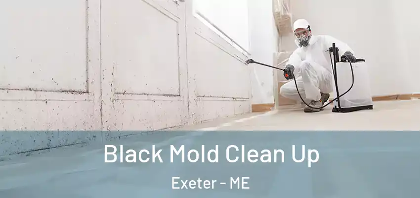 Black Mold Clean Up Exeter - ME