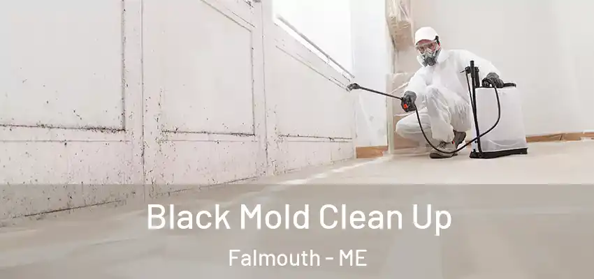  Black Mold Clean Up Falmouth - ME
