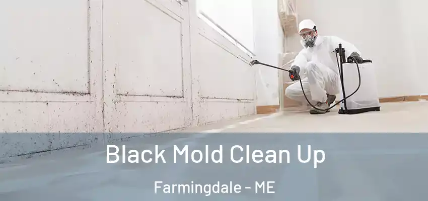 Black Mold Clean Up Farmingdale - ME