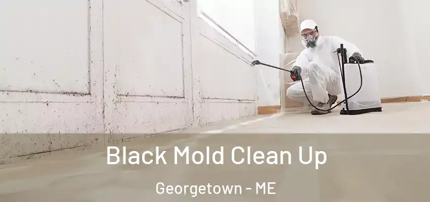  Black Mold Clean Up Georgetown - ME
