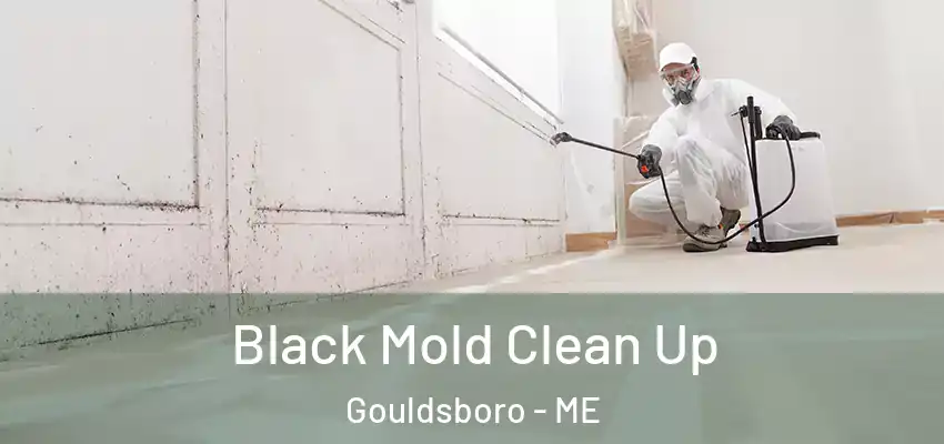  Black Mold Clean Up Gouldsboro - ME