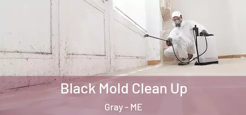  Black Mold Clean Up Gray - ME