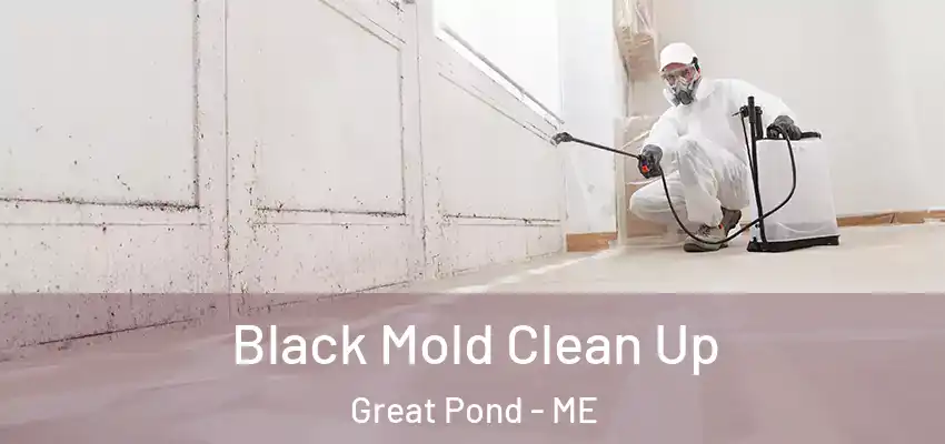 Black Mold Clean Up Great Pond - ME