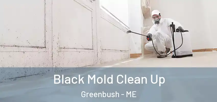 Black Mold Clean Up Greenbush - ME