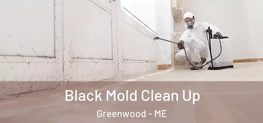  Black Mold Clean Up Greenwood - ME