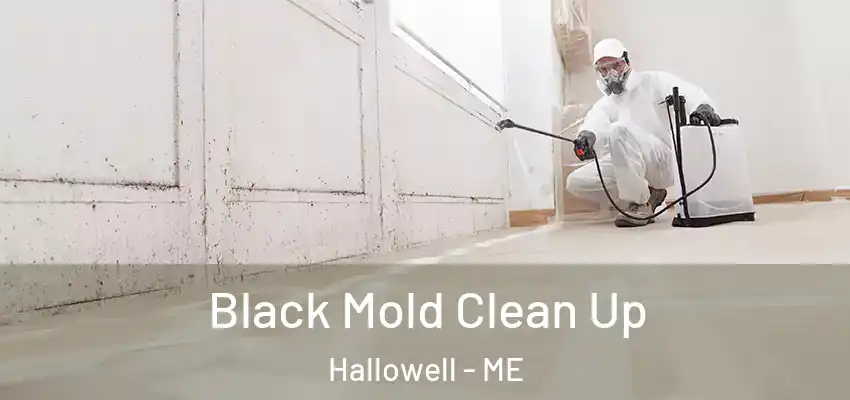 Black Mold Clean Up Hallowell - ME