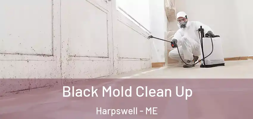  Black Mold Clean Up Harpswell - ME