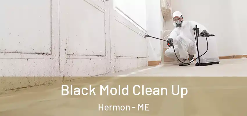 Black Mold Clean Up Hermon - ME