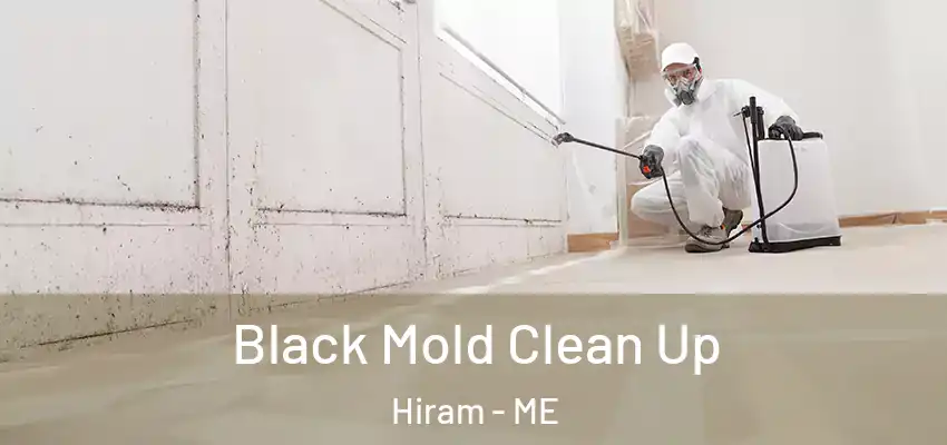 Black Mold Clean Up Hiram - ME