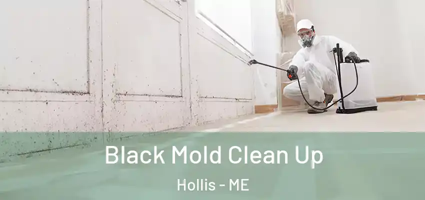 Black Mold Clean Up Hollis - ME