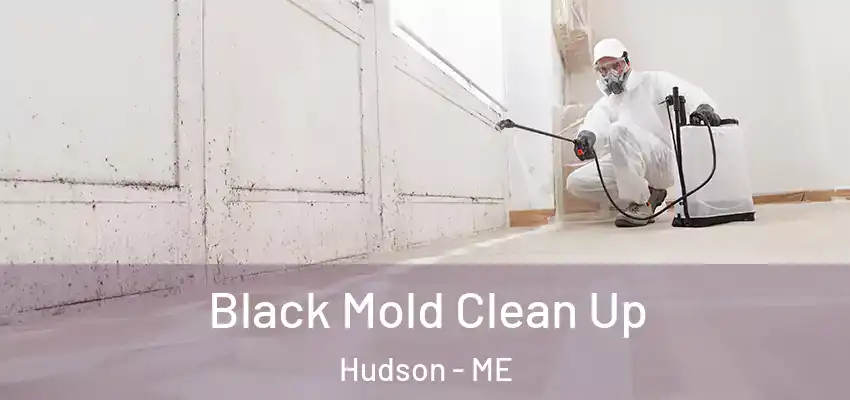 Black Mold Clean Up Hudson - ME