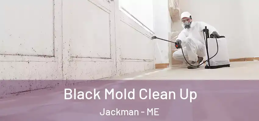  Black Mold Clean Up Jackman - ME