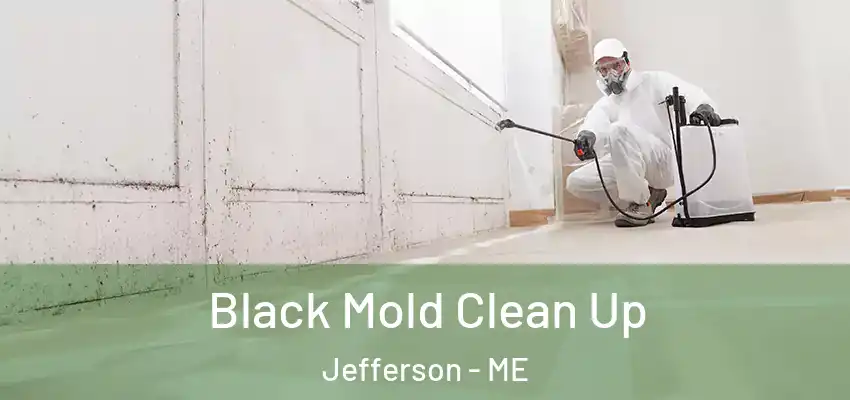 Black Mold Clean Up Jefferson - ME