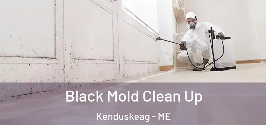 Black Mold Clean Up Kenduskeag - ME