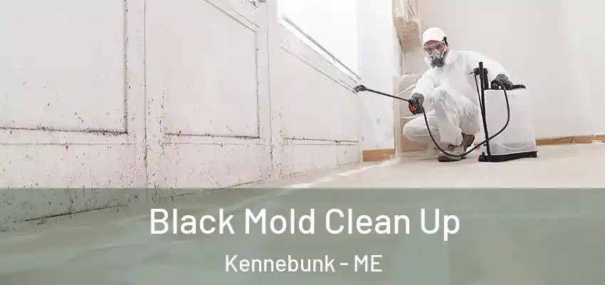 Black Mold Clean Up Kennebunk - ME