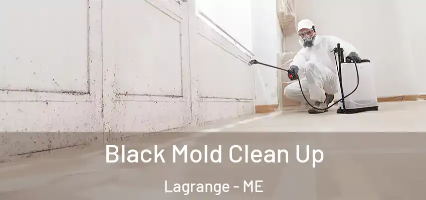  Black Mold Clean Up Lagrange - ME