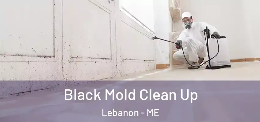 Black Mold Clean Up Lebanon - ME