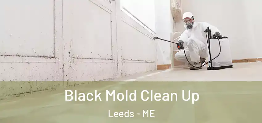  Black Mold Clean Up Leeds - ME