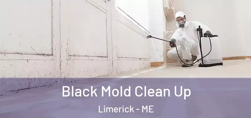  Black Mold Clean Up Limerick - ME