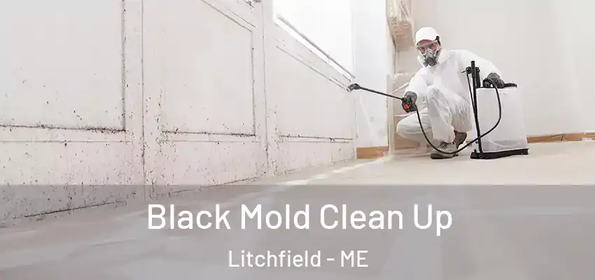  Black Mold Clean Up Litchfield - ME