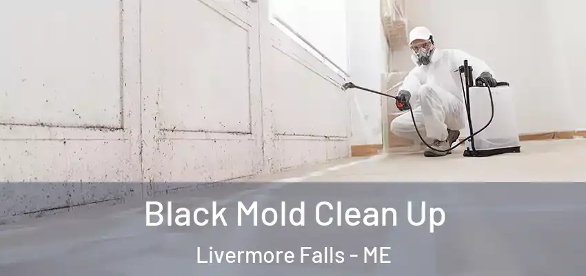 Black Mold Clean Up Livermore Falls - ME
