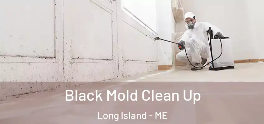 Black Mold Clean Up Long Island - ME