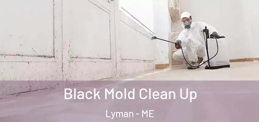 Black Mold Clean Up Lyman - ME