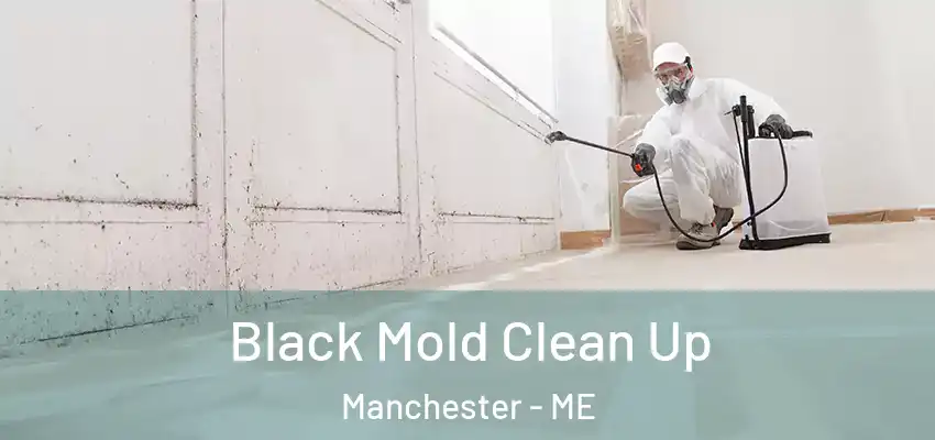 Black Mold Clean Up Manchester - ME
