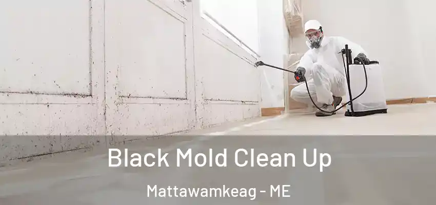  Black Mold Clean Up Mattawamkeag - ME