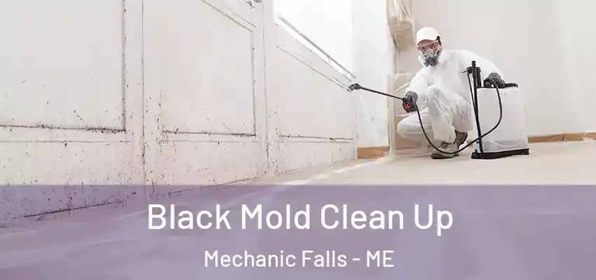 Black Mold Clean Up Mechanic Falls - ME